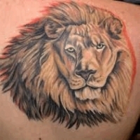 Значение и символизм татуировки лев