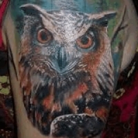 Значение и символизм татуировки сова