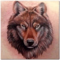 Значение и символизм татуировки волк