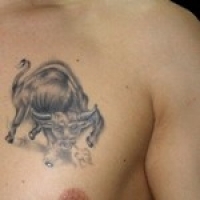Значение и символизм татуировки бык