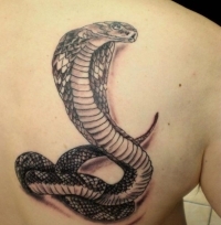 Трактование змеи в татуировках